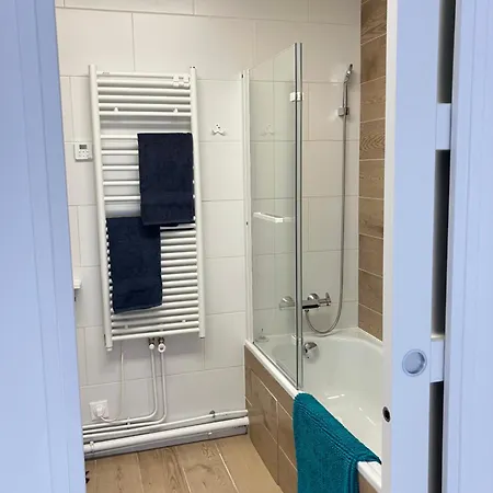 Apartment 42m Terrace Paris